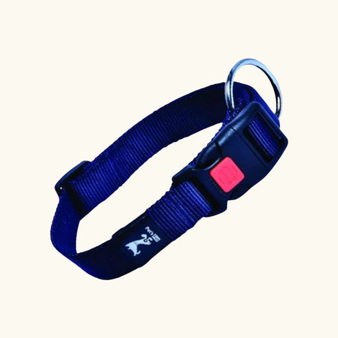 Classic Collar Small